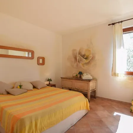 Vakantiehuis Amazing In *